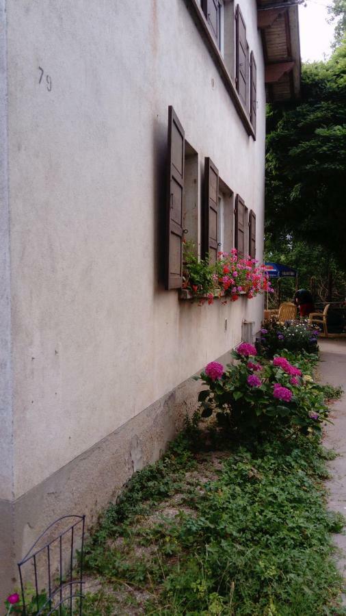 Au Gre Des Sentiers Chez Marie Et Pierre Bed and Breakfast Saint-Die-des-Vosges Buitenkant foto