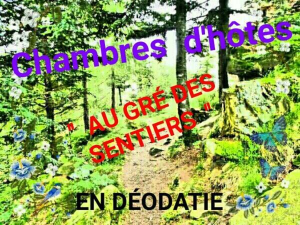 Au Gre Des Sentiers Chez Marie Et Pierre Bed and Breakfast Saint-Die-des-Vosges Buitenkant foto